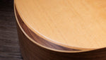 Taylor Academy 10e Acoustic Guitar