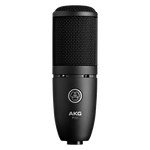 AKG P120