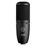 AKG P120
