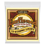 Ernie Ball 2010 ACOUSTIC 12 STRING