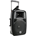 WHARFEDALE EZ 15A